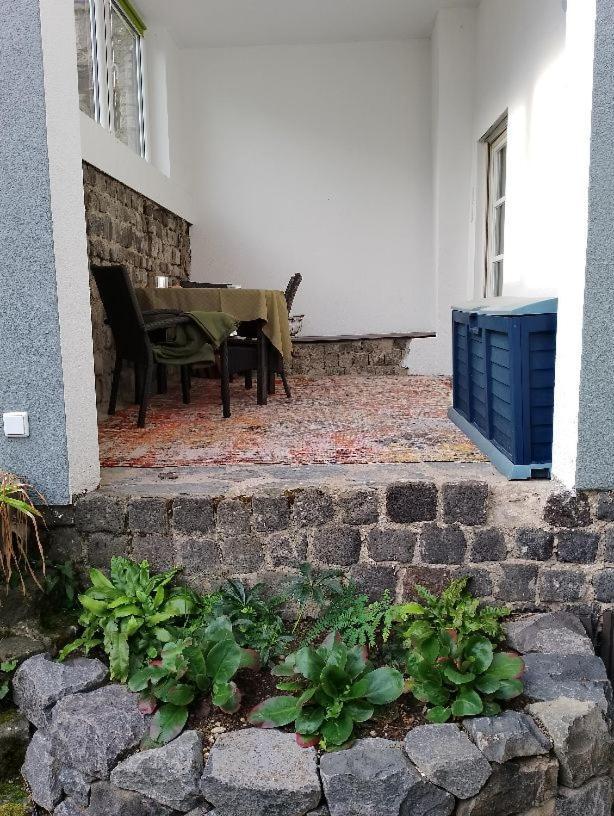 Ferienwohnung Am Geysirzentrum Andernach Eksteriør billede