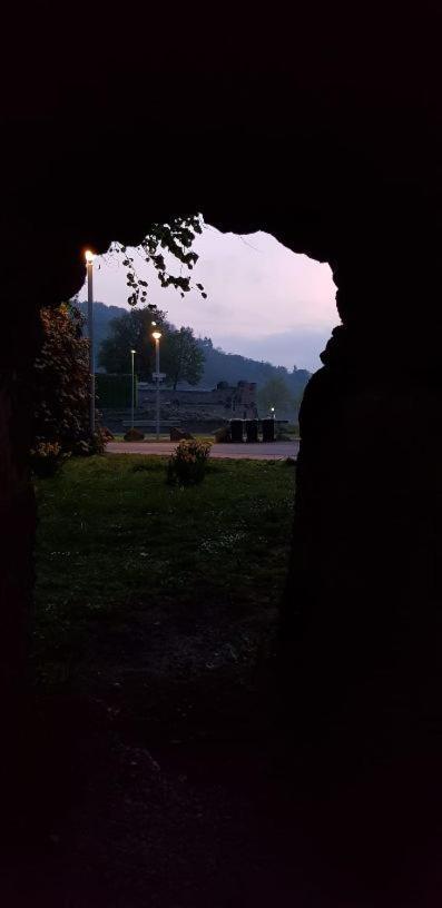Ferienwohnung Am Geysirzentrum Andernach Eksteriør billede