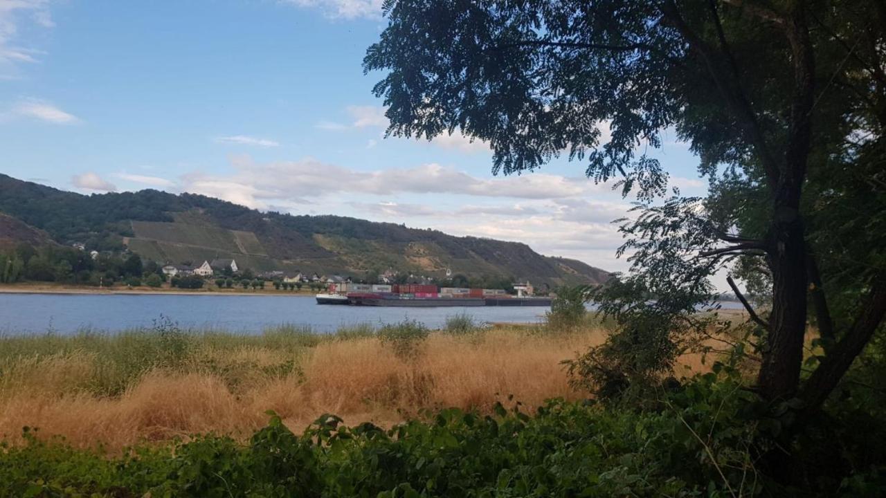 Ferienwohnung Am Geysirzentrum Andernach Eksteriør billede